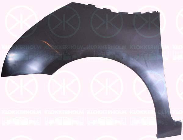 Wing, Left Front, without hole for direction indicator, Plastic, 7840 V1 (DS), 7840 V1 (CITROEN)