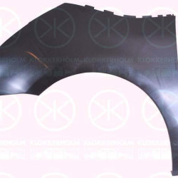 Wing, Left Front, without hole for direction indicator, Plastic, 7840 V1 (DS), 7840 V1 (CITROEN)