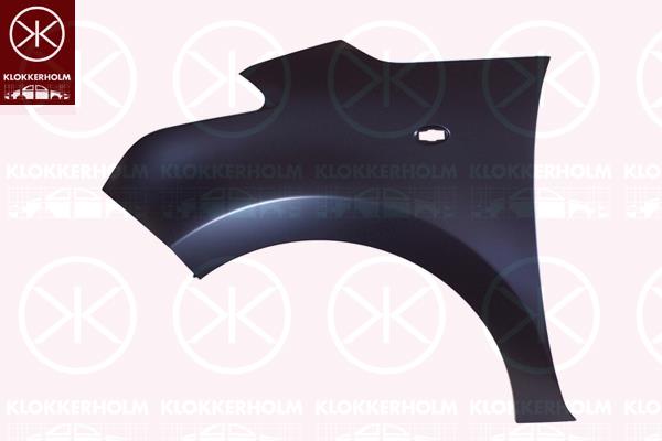 Wing, Left Front, with hole for direction indicator, 7840X0 (CITROEN)