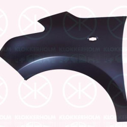 Wing, Left Front, with hole for direction indicator, 7840X0 (CITROEN)