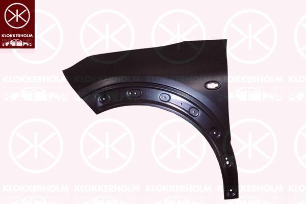 Wing, Left Front, with holes for trim/protective strip, with hole for direction indicator, 9801112580 (CITROEN)