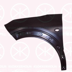 Wing, Left Front, with holes for trim/protective strip, with hole for direction indicator, 9801112580 (CITROEN)