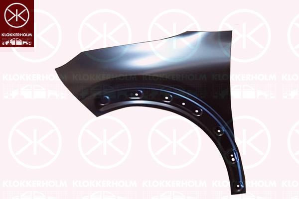 Wing, Left Front, with holes for trim/protective strip, 9822716980 (CITROEN)