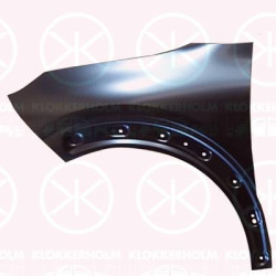 Wing, Left Front, with holes for trim/protective strip, 9822716980 (CITROEN)