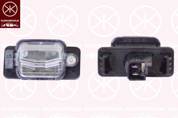 Licence Plate Light, with bulb holder, not ECE approved, 6340 99 (PEUGEOT), 6340 99 (DS), 6340 99 (CITROEN)