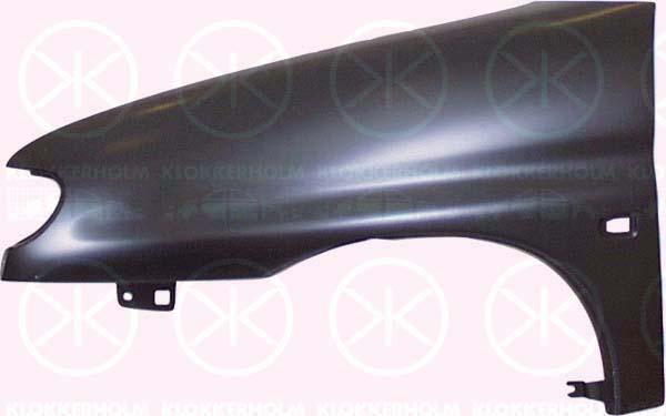 Wing, Left Front, with hole for direction indicator, Zinc-coated, 7840 H4 (DS), 7840 H4 (CITROEN)