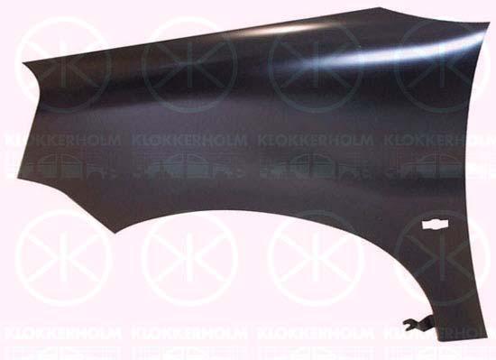 Wing, Left Front, with hole for direction indicator, Zinc-coated, 7840 N5 (DS), 7840 N5 (CITROEN), 7840 Q1 (DS), 7840 Q1 (CITROEN)