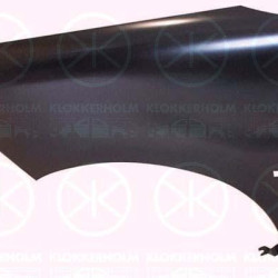 Wing, Left Front, with hole for direction indicator, Zinc-coated, 7840 N5 (DS), 7840 N5 (CITROEN), 7840 Q1 (DS), 7840 Q1 (CITROEN)