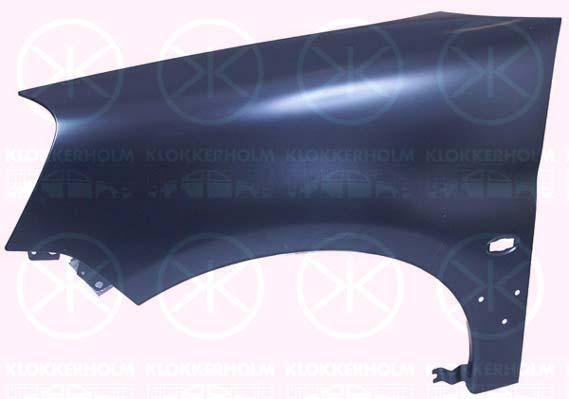 Wing, Right Front, with holes for trim/protective strip, with hole for direction indicator, 7841 Q1 (DS), 7841 Q1 (CITROEN), 7841V4 (DS), 7841V4 (CITROEN), 9824691280 (DS), 9824691280 (CITROEN)