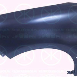 Wing, Right Front, with holes for trim/protective strip, with hole for direction indicator, 7841 Q1 (DS), 7841 Q1 (CITROEN), 7841V4 (DS), 7841V4 (CITROEN), 9824691280 (DS), 9824691280 (CITROEN)