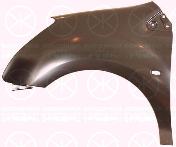 Wing, Left Front, with hole for direction indicator, Zinc-coated, 7840 W2 (PEUGEOT), 7840 W2 (DS), 7840 W2 (CITROEN)