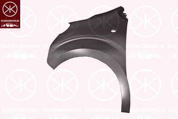 Wing, Left Front, with hole for direction indicator, 9808757880 (PEUGEOT), 9808757880 (OPEL), 9808757880 (CITROEN), SU001A4222 (TOYOTA)