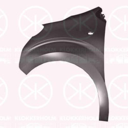 Wing, Left Front, with hole for direction indicator, 9808757880 (PEUGEOT), 9808757880 (OPEL), 9808757880 (CITROEN), SU001A4222 (TOYOTA)