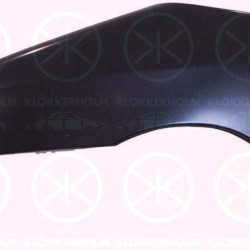 Wing, Right Front, with hole for direction indicator, Zinc-coated, 0009467001088 (FIAT), 7841 R8 (PEUGEOT), 7841 R8 (DS), 7841 R8 (CITROEN), 9467001088 (FIAT)