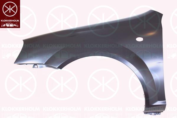 Wing, Left Front, with hole for direction indicator, 96474980 (DAEWOO), 96548989 (DAEWOO), 96548991 (DAEWOO)