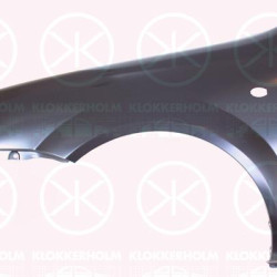 Wing, Right Front, with hole for direction indicator, 96474982 (DAEWOO), 96548993 (DAEWOO), 96548995 (DAEWOO)