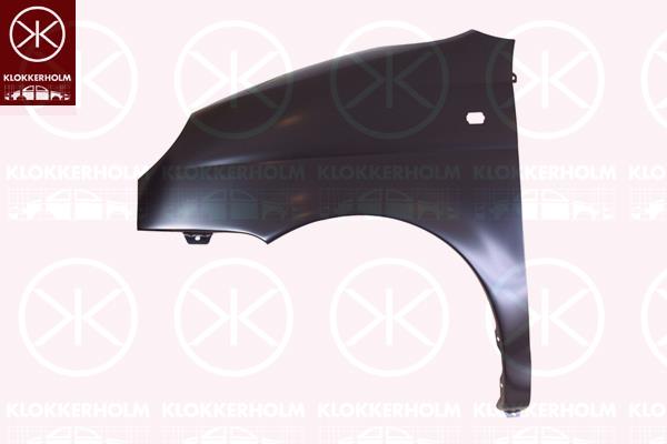 Wing, Left Front, with hole for direction indicator, 96562083 (DAEWOO), 96562085 (DAEWOO)