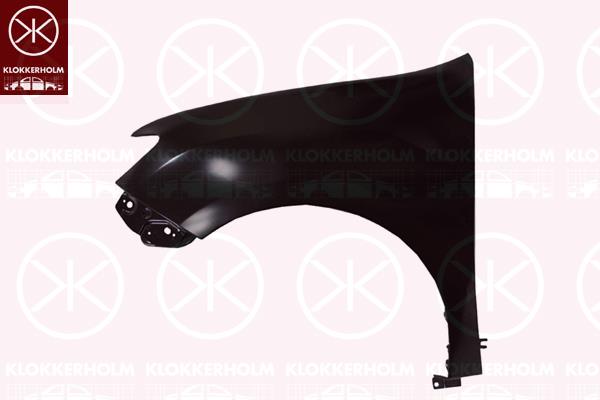 Wing, Left Front, without hole for direction indicator, 63 10 158 04R (RENAULT)