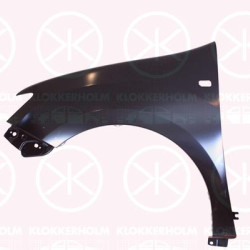 Wing, Left Front, with hole for direction indicator, 63 10 101 35R (DACIA), 63 10 199 73R (DACIA)