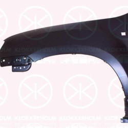 Wing, Right Front, with hole for direction indicator, 63 10 072 97R (DACIA)