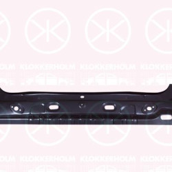 Rear Panel, Rear Panel, Outer section, 791009165R (DACIA)