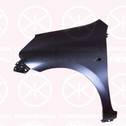 Wing, Right Front, with hole for direction indicator, Trim Level: TEKNA, F3100 3HNAA (NISSAN)