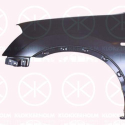 Wing, Left Front, with hole for direction indicator, F3101 JD0M0 (NISSAN)