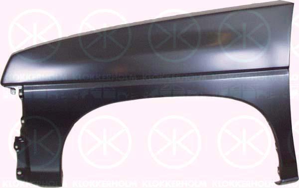 Wing, King Cab, 2 WD, Left Front, without hole for direction indicator, 63113 76P00 (NISSAN), 6311301G35 (NISSAN), 6311392G35 (NISSAN)