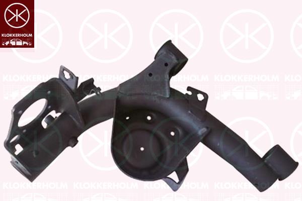 Control/Trailing Arm, wheel suspension, 4WD, Rear Axle Left, Trailing Arm, Full Body Section, 50705759 (FIAT), 51856881 (FIAT), 51932971 (FIAT)