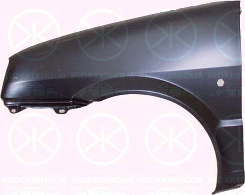 Wing, Right Front, with hole for direction indicator, 0000007634840 (FIAT), 7634840 (FIAT)