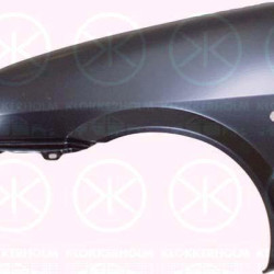 Wing, Right Front, with hole for direction indicator, 0000007634840 (FIAT), 7634840 (FIAT)