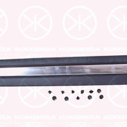 Trim/Protection Strip, door, Left Front, black, with trim strip, chrome, 0000735558453 (FIAT), 735558453 (FIAT)