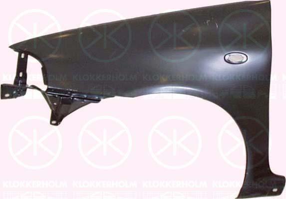 Wing, Left Front, with hole for direction indicator, 0000007733462 (FIAT), 7733462 (FIAT)