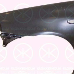 Wing, Left Front, with hole for direction indicator, 0000007733462 (FIAT), 7733462 (FIAT)