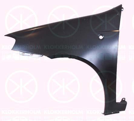 Wing, Right Front, with hole for direction indicator, 0000046849402 (FIAT), 46849402 (FIAT)