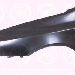 Wing, 5-drs, Right, with hole for direction indicator, 0000046762218 (FIAT)