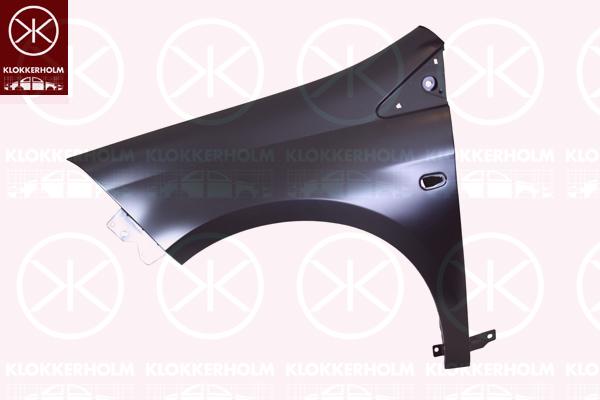 Wing, Left Front, with hole for direction indicator, 0000051751060 (FIAT), 51751060 (FIAT), 51822248 (FIAT)