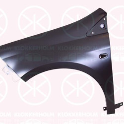 Wing, Left Front, with hole for direction indicator, 0000051751060 (FIAT), 51751060 (FIAT), 51822248 (FIAT)