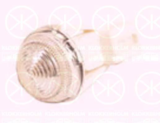 Direction Indicator, with bulb holder, white, lateral installation, 0000046769163 (FIAT), 46769163 (FIAT)