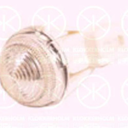 Direction Indicator, with bulb holder, white, lateral installation, 0000046769163 (FIAT), 46769163 (FIAT)