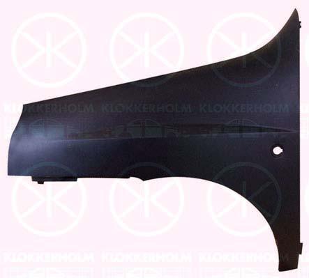 Wing, Right Front, with hole for direction indicator, Zinc-coated, 0000046743215 (FIAT), 0000098808122 (FIAT), 46743215 (FIAT), 98808122 (FIAT)