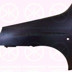 Wing, Right Front, with hole for direction indicator, Zinc-coated, 0000046743215 (FIAT), 0000098808122 (FIAT), 46743215 (FIAT), 98808122 (FIAT)