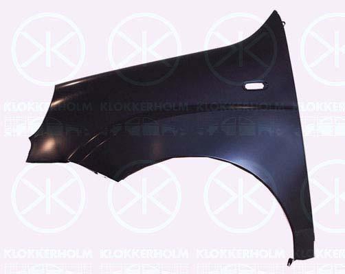 Wing, Right Front, with hole for direction indicator, 0000051754845 (FIAT), 51754845 (FIAT)