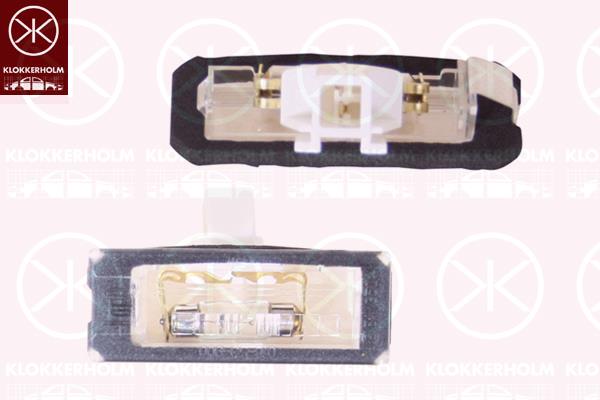 Licence Plate Light, with bulb holder, both sides, 0000735430904 (FIAT), 0001307272070 (FIAT), 6350 AX (CITROEN), 735430904 (FIAT)