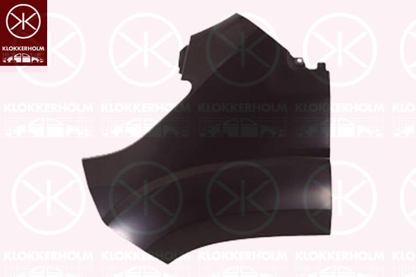 Wing, Left Front, 0001374386080 (FIAT), 1374386080 (FIAT), 1611655180 (PEUGEOT), 1611655180 (DS), 1611655180 (CITROEN)