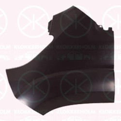 Wing, Left Front, 0001374386080 (FIAT), 1374386080 (FIAT), 1611655180 (PEUGEOT), 1611655180 (DS), 1611655180 (CITROEN)