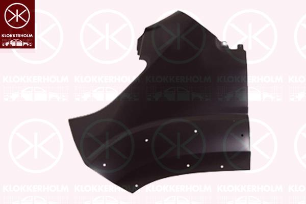 Wing, Left Front, with holes for extensions, 0001374385080 (FIAT), 1374385080 (FIAT), 1611655080 (PEUGEOT), 1611655080 (DS), 1611655080 (CITROEN)