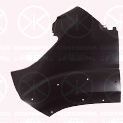 Wing, Left Front, with holes for extensions, 0001374385080 (FIAT), 1374385080 (FIAT), 1611655080 (PEUGEOT), 1611655080 (DS), 1611655080 (CITROEN)