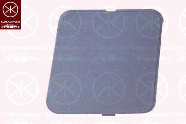 Cover, bumper, Left Front, 4 376 364 (FORD), 4 447 727 (FORD), 4376364 (FORD)