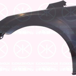 Wing, Right Front, 1 521 596 (FORD)